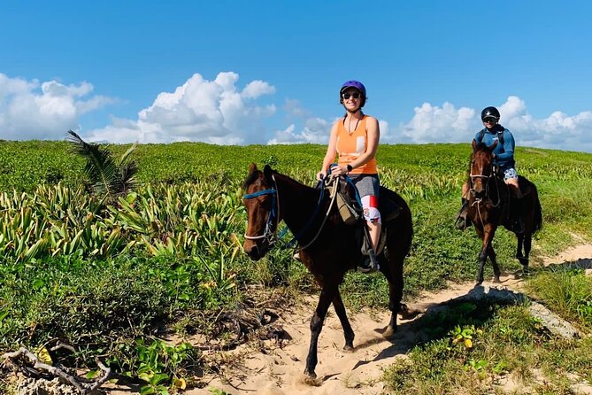 Punta Cana Horseback Ride: Jungle, Macao Beach & Free Pick Up - Who this Punta Cana horseback ride suits best