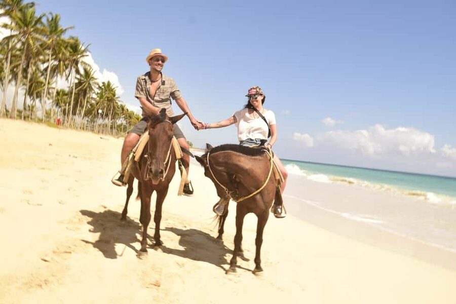 Punta Cana: Horseback Ride to Macao Beach - Key Highlights You’ll Actually Feel During the Ride