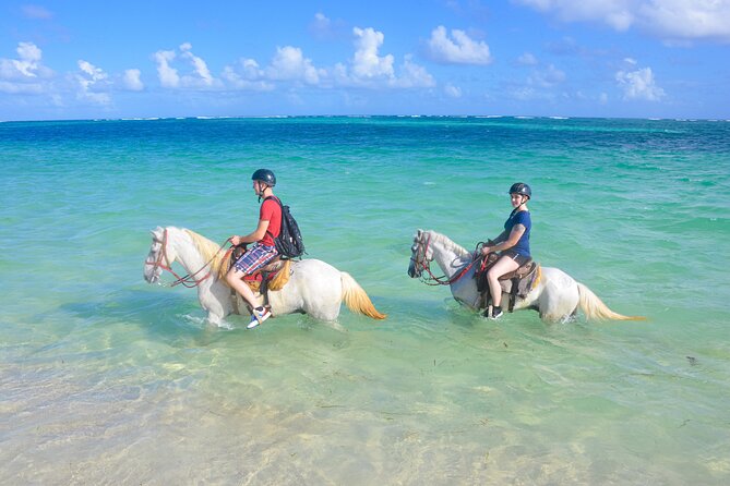 Punta Cana Horseback Riding Adventure - Key Things You’ll Notice on This Punta Cana Ride