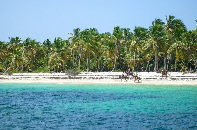 Punta Cana Horseback Riding Adventure - The Guided Countryside Ride: Calm Pace, Real Variety