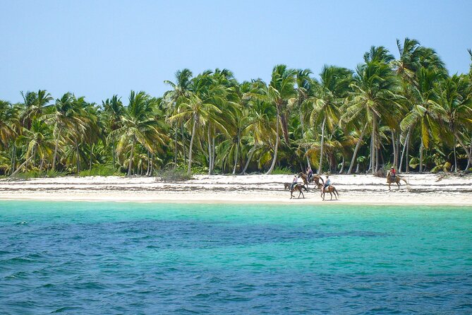 Punta Cana Horseback Riding Adventure - Value Tips: How to Get the Best Day for $60