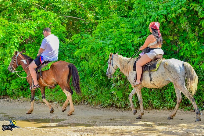 Punta Cana Horseback Riding Adventure on Macao Beach - Who This Tour Fits Best (And Who Might Think Twice)