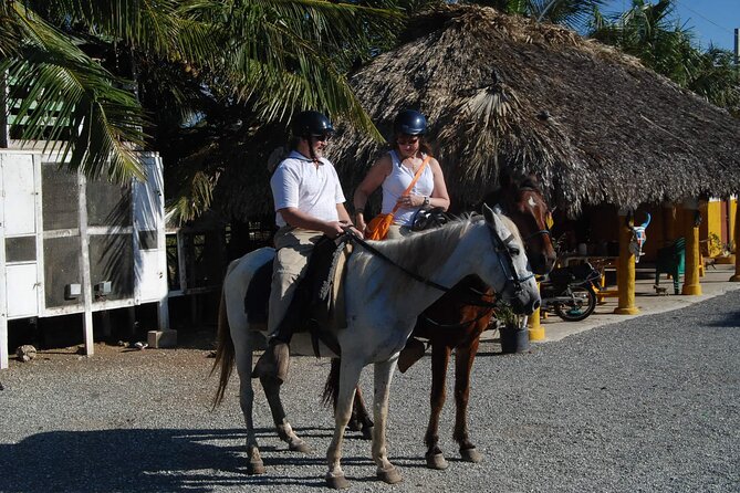 Punta Cana Horseback Riding on the Beach - How The Beach Ride Works: Walk, Trot, And Optional Water Time