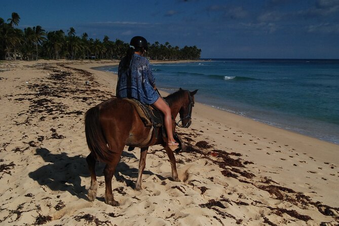 Punta Cana Horseback Riding on the Beach - Ending Where the River Meets the Ocean