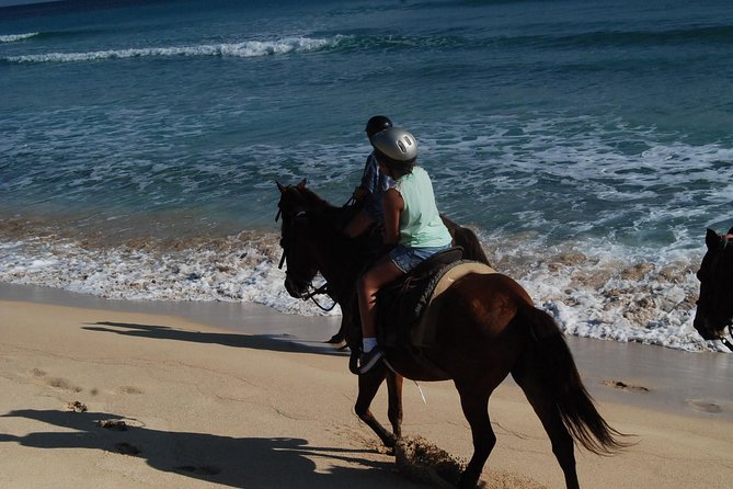 Punta Cana Horseback Riding on the Beach - Price and Value: Is $75 Worth It?