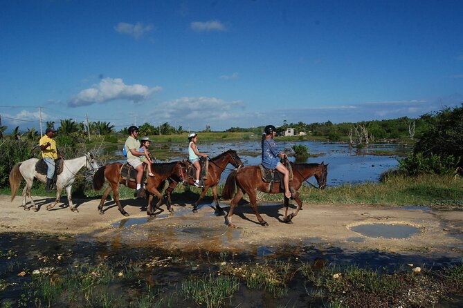 Punta Cana Horseback Riding on the Beach - Safety, Skills, and Who This Ride Fits Best