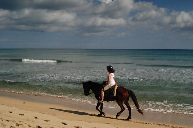 Punta Cana Horseback Riding on the Beach - Should You Book Punta Cana Beach Horseback Riding?