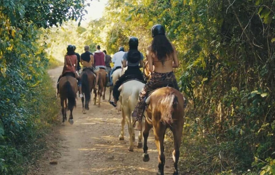 Punta Cana Horseback riding & Sunset + beach + free pick-up - Key points before you go