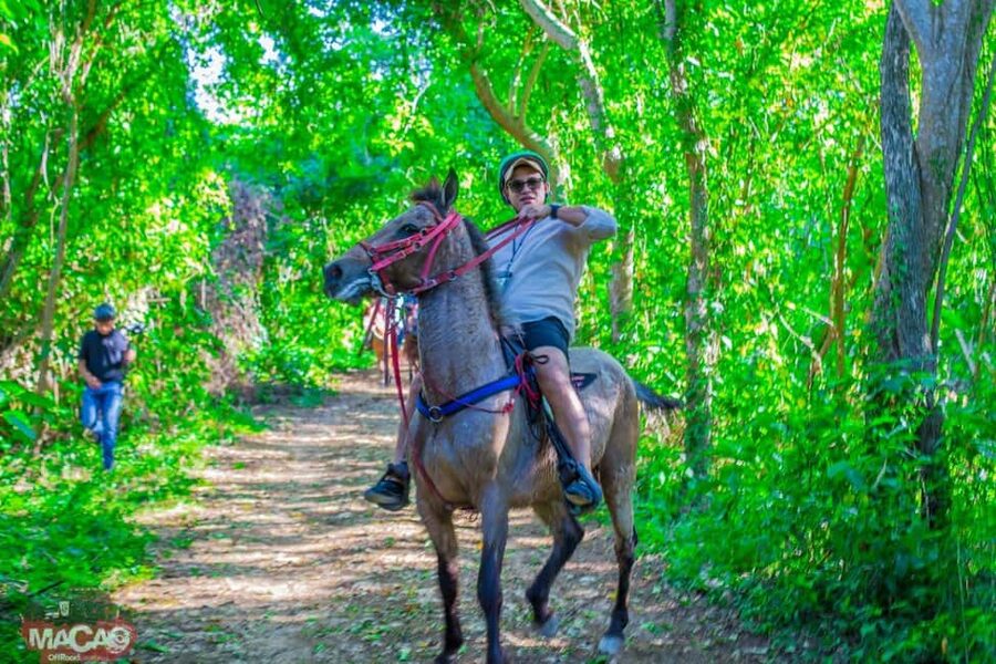 Punta Cana Horseback riding & Sunset + beach + free pick-up - Buggy traffic, dust, and what to wear for comfort