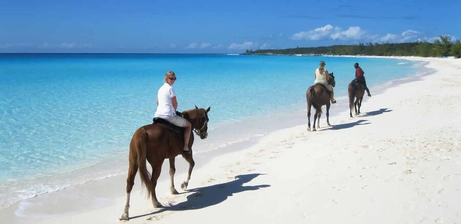 Punta Cana: Horseback Riding through Stunning Beaches - Key Things to Know Before You Ride