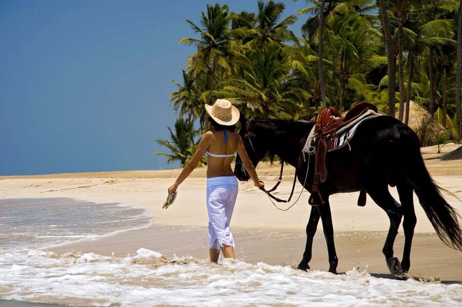 Punta Cana: Horseback Riding through Stunning Beaches - Uvero Alto Beach Stop: Golden Sand Views With Real-World Conditions