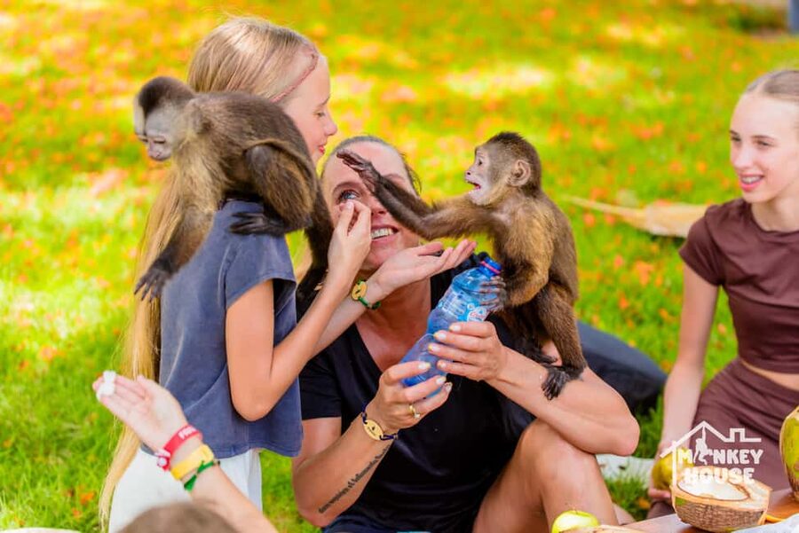 Punta Cana: Interactive Experience at Monkey House - Key things worth knowing before you go