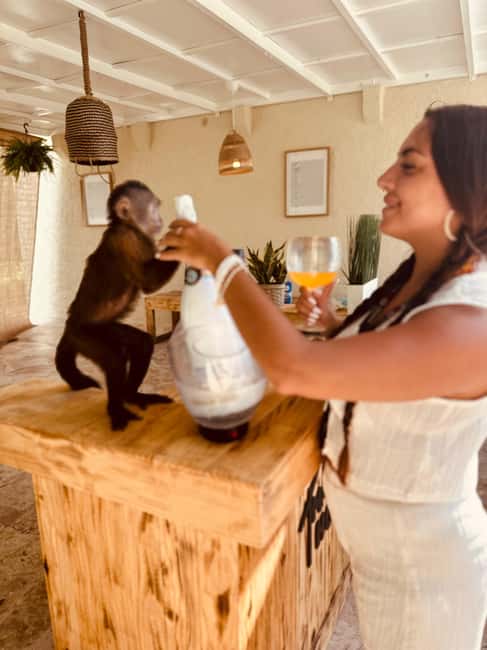 Punta Cana: Interactive Experience at Monkey House - The first monkey segment: closer than you expect, with photo restrictions