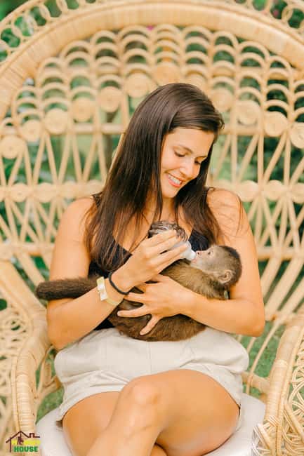 Punta Cana: Interactive Experience at Monkey House - Price and value: what you get for $99 (and where costs can sneak in)