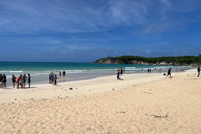 Punta Cana Jungle Buggy Tour: Macao Beach Visit and Cenote Swim - Macao Beach: Time to Breathe, Stretch, and Reset