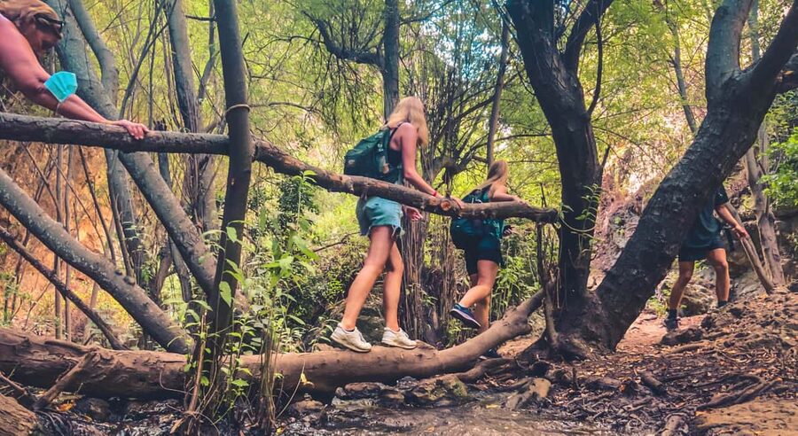 Punta Cana: Los Haitises Hike & Kayaking Mangroves - From Punta Cana Pickup to Los Haitises: The Ride That Sets Your Mood