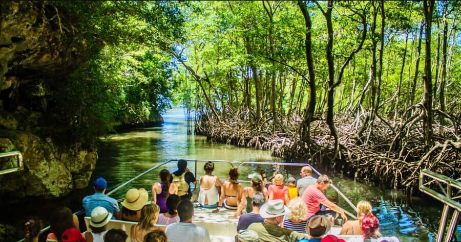 Punta Cana: Los Haitises National Park Full-Day Tour - The Big Picture: Los Haitises Is More Than Beaches