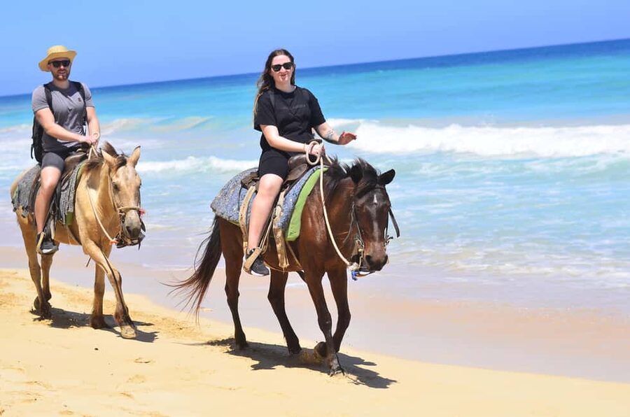 Punta Cana: Macao Beach & Forest Horseback Riding Tour - Macao Beach Horse Ride: The Coastal Hour You’ll Remember