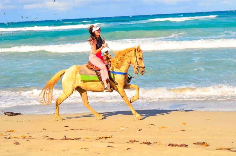 Punta Cana: Macao Beach & Forest Horseback Riding Tour - The Guides, The Pace, and Why It Feels Comfortable
