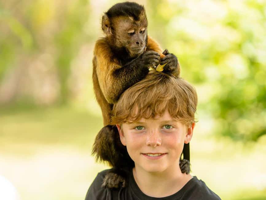 Punta Cana: Monkey Adventure by Jhoraji With Hotel Pick-Up - A realistic feel for the “Monkey Adventure”