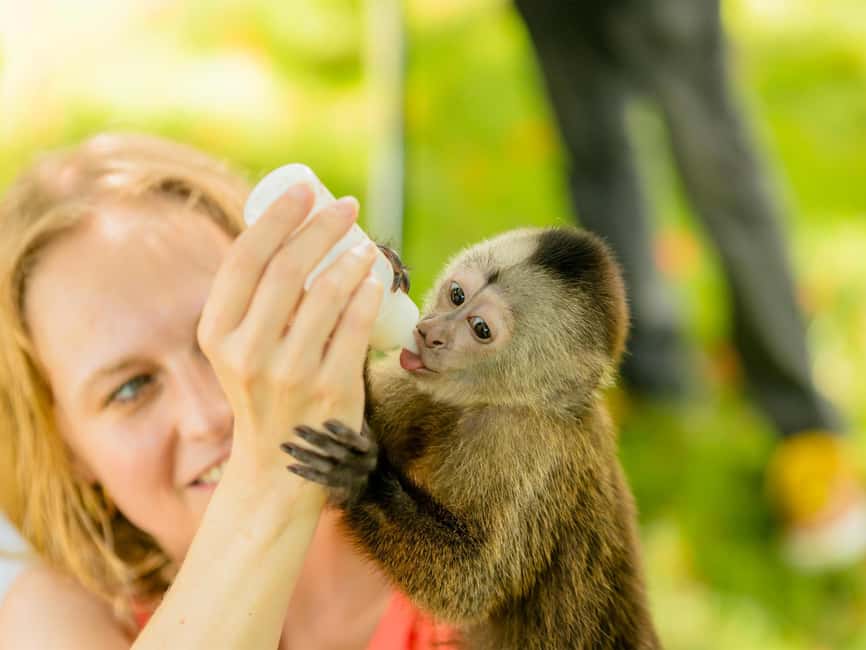 Punta Cana: Monkey Adventure by Jhoraji With Hotel Pick-Up - Photo and video pressure: beautiful memories, but know the price