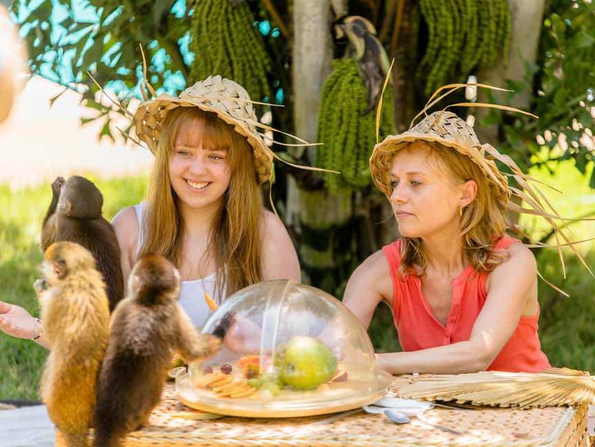 Punta Cana: Monkey Adventure by Jhoraji With Hotel Pick-Up - Who this tour suits best (and who should skip it)