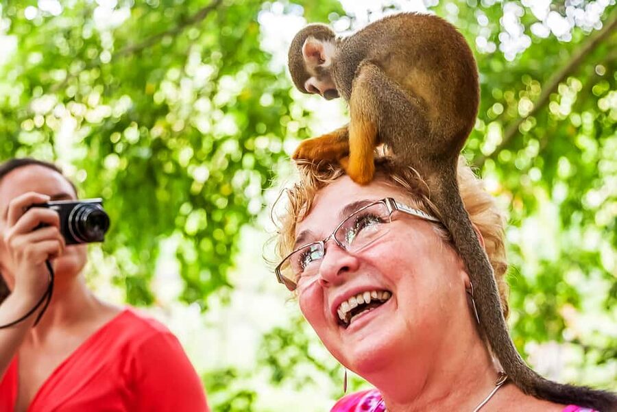 Punta Cana: Monkey Land Half-Day Safari and Plantation - Punta Cana’s Half-Day That Actually Feels Like Two Trips