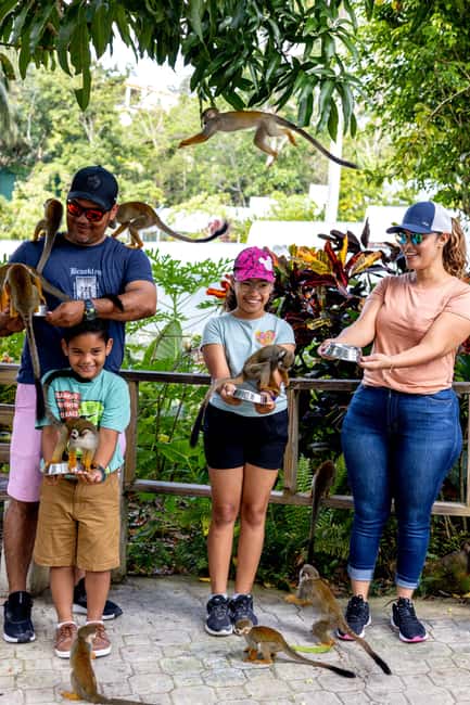 Punta Cana: Monkey Land Half-Day Safari and Plantation - Should You Book Monkey Land Half-Day Safari and Plantation?