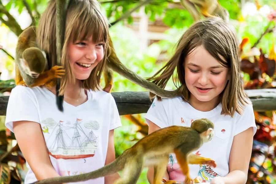 Punta Cana: Monkey Land Half-Day Safari and Plantation - The Drive From Punta Cana: Timing, Views, and the Open-Air Reality