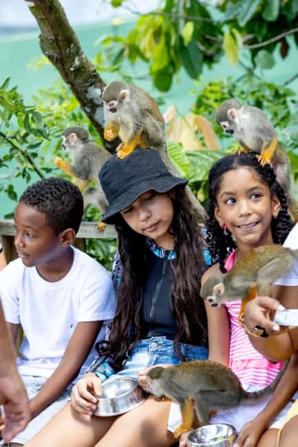 Punta Cana: Monkey Sanctuary Half-Day Tour - Key Things That Make This Tour Worth Your Time