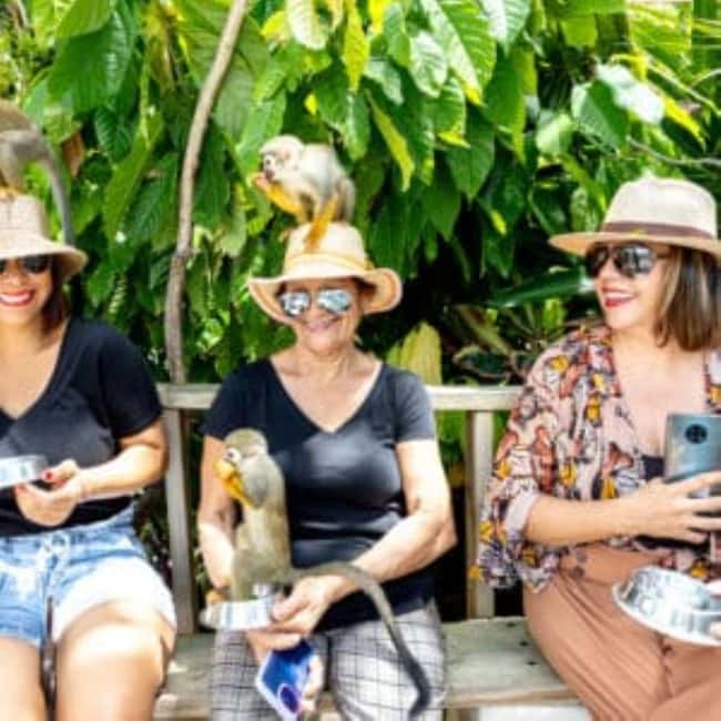 Punta Cana: Monkey Sanctuary Half-Day Tour - Getting There: Round-Trip Punta Cana Pickup and a Safari-Style Ride