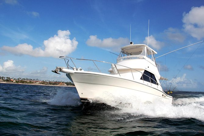 Punta Cana Offshore Deep Sea Fishing Charter - Big-game targets: what you’re actually fishing for
