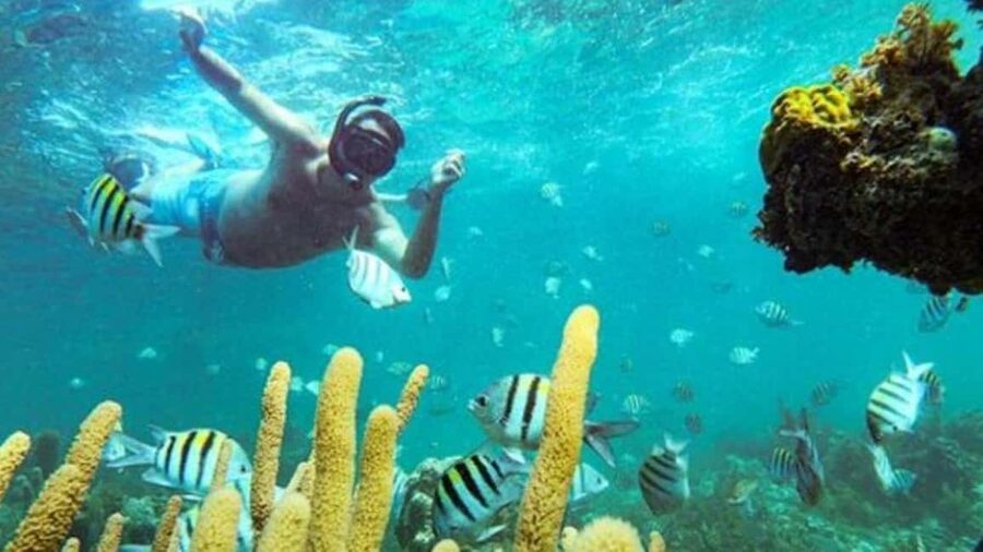 Punta Cana: Party Boat and Snorkeling Adventure - Key things to know before you go