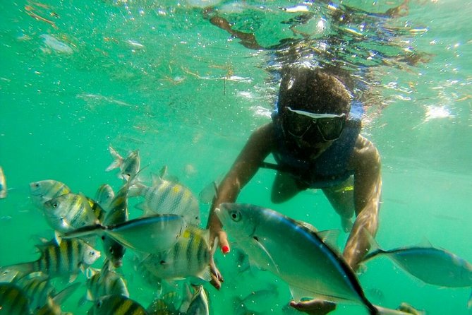 Punta Cana Party Boat Snorkeling with Music DJ and Open Bar - Playa Bibijagua Snorkeling: Coral Fish Time on Included Gear