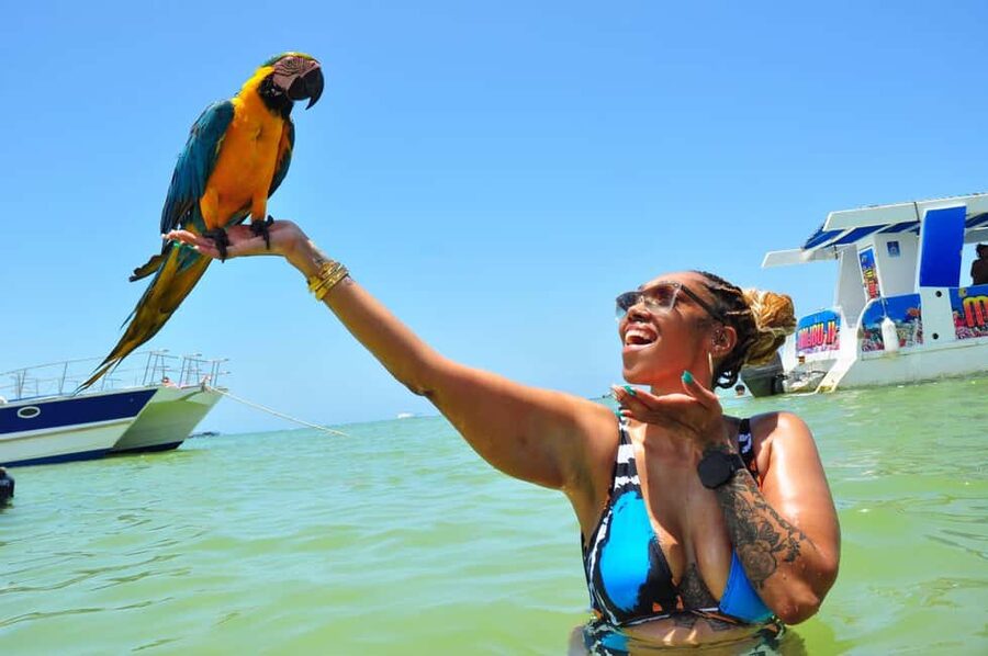 Punta Cana: Party Boat with Snorkeling, Open Bar And Hip Hop - Dolphin Island View And The Natural Pool Break: Where the Scenery Shifts