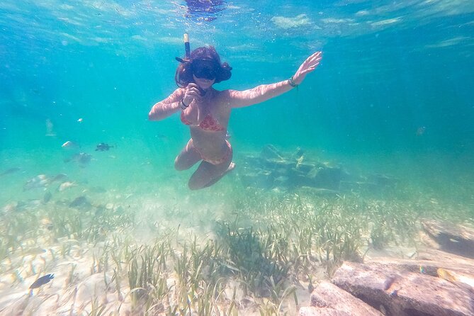 Punta Cana Private Cruise up to 10 people - Coral Museum and Interpretation Center: Learn First, Swim Smarter