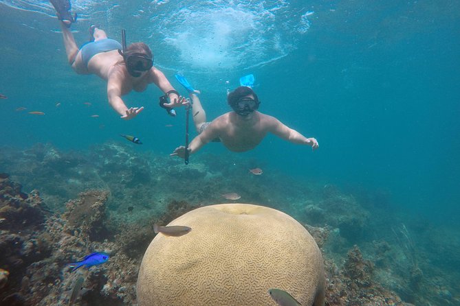 Punta Cana Private Cruise Up To 10 Snorkeling & Seafood lunch - Quick hits you’ll care about