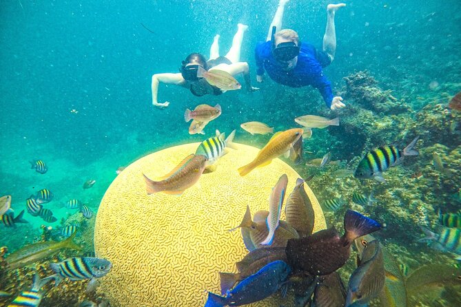 Punta Cana Private Cruise Up To 10 Snorkeling & Seafood lunch - From pickup to Cape Engano: how the day starts