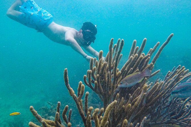 Punta Cana Private Cruise Up To 10 Snorkeling & Seafood lunch - Floating Kitchen lunch: the food is the main event, not an afterthought