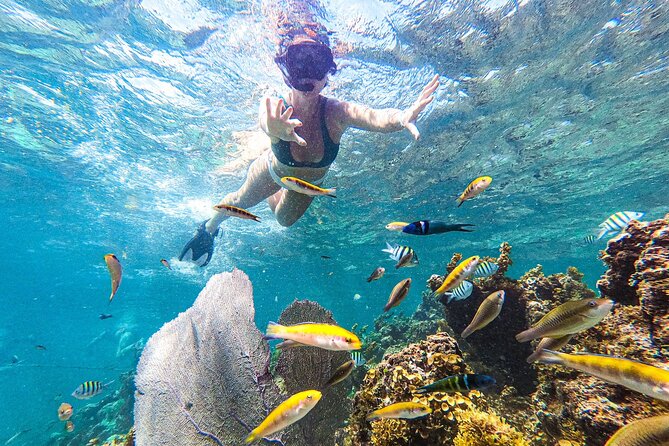 Punta Cana Private Cruise Up To 10 Snorkeling & Seafood lunch - Bavaro Lagoon and the last-untouched beach feeling