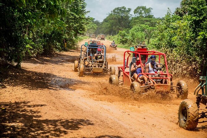 Punta Cana Private off-road buggy ride adventure - Key Things You’ll Notice on This Buggy Adventure