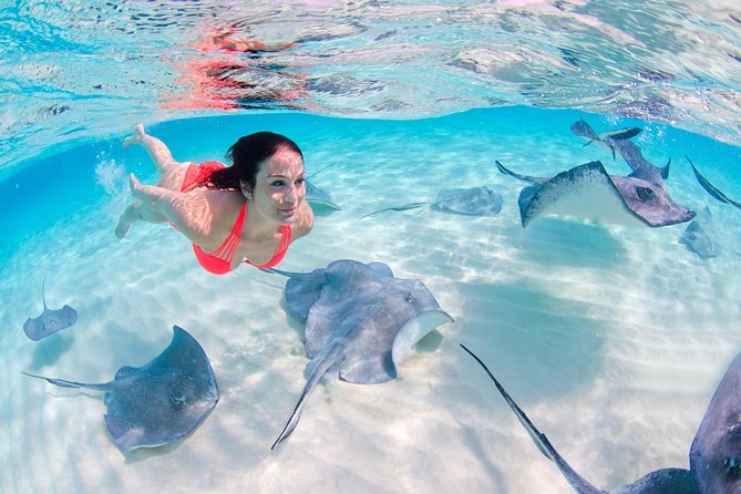Punta Cana Private Virgen Beach Small & Big Group Snorkel Cruise - Your crew’s role: snorkeling help, onboard entertainment, and photo reality