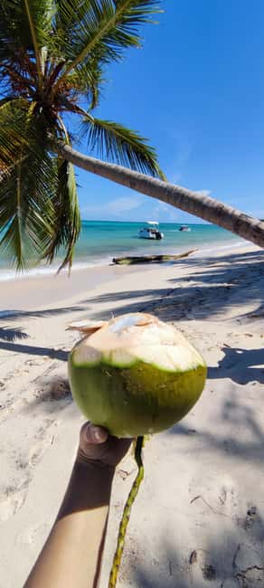 Punta Cana : Private yacht Snorkeling, Lagoon and Wild Beach - Swing beach break and palm-grove views: the photo stop that actually works
