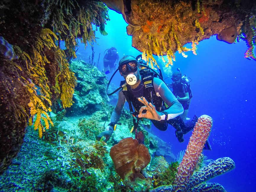 Punta Cana: Reef Diving Adventure Explore Underwater Wonders - Punta Cana Reef Scuba: Why This Coast Time Feels Worth It