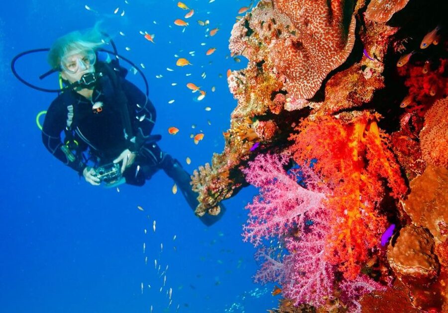 Punta Cana: Reef Diving Adventure Explore Underwater Wonders - Power-Style Underwater Session: How It Fits Different Experience Levels