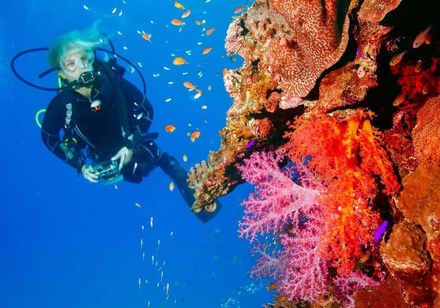 Punta Cana: Reef Diving Adventure Explore Underwater Wonders - The 5-Hour Schedule: From Hotel Lobby to Reef Time