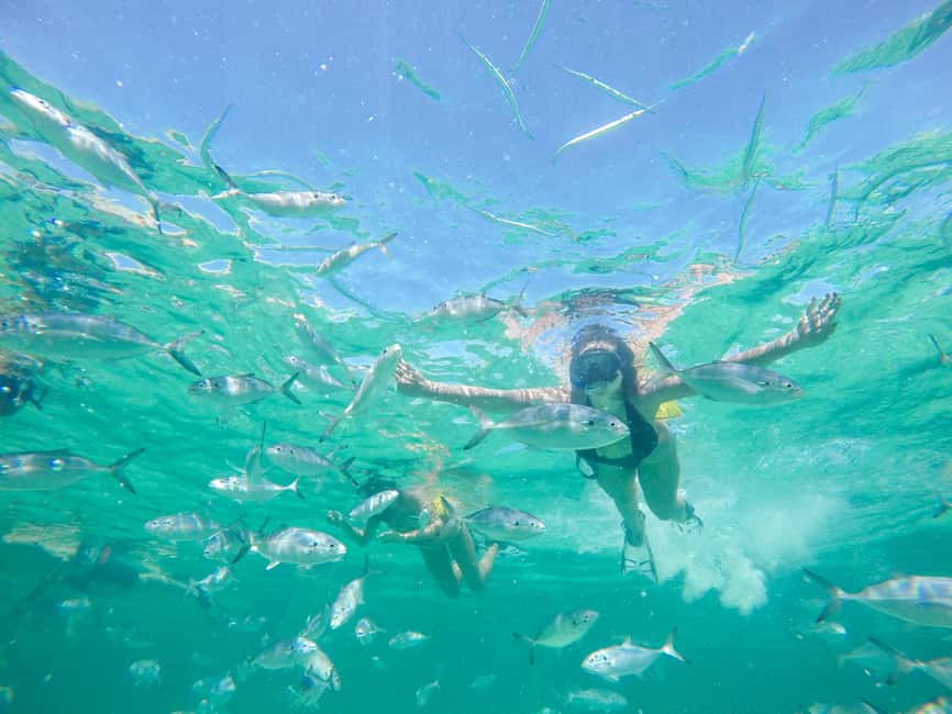 Punta Cana: Reef Explorer Access w/ Sharks & Stingrays Swim - Who should book Punta Cana Reef Explorer with sharks & stingrays?