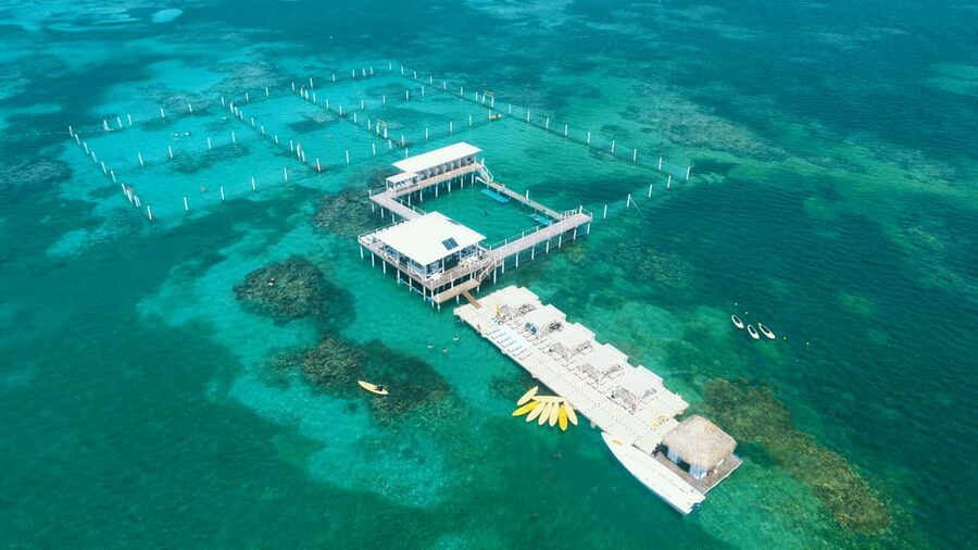 Punta Cana: Reef Explorer Access w/ Sharks & Stingrays Swim - “Power snorkel” and paddle options: the add-ons that keep it from feeling repetitive