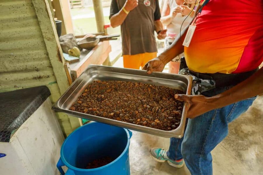 Punta Cana safari experience and historical city tour - Key points worth knowing