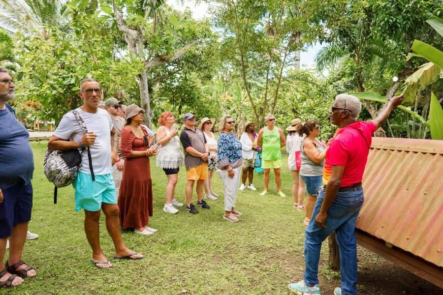 Punta Cana safari experience and historical city tour - Cigar Factory Experience: Learn, Then Make Your Own